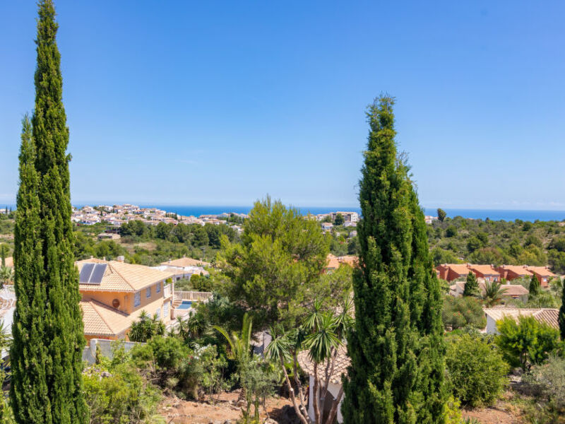 Buganvilla