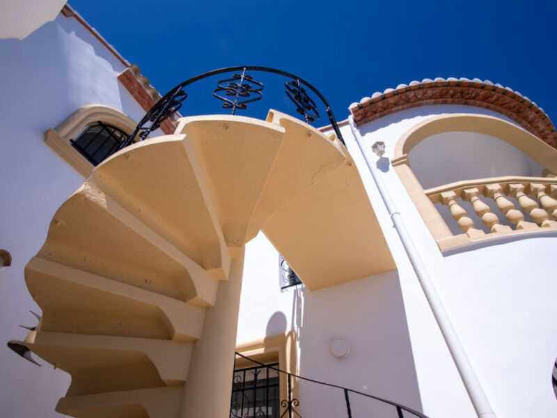 Buganvilla