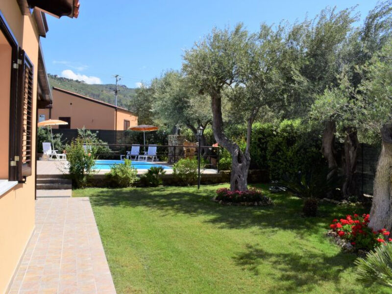 Olivella