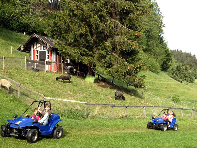 AllgäuHotel Hofgut Kürnach