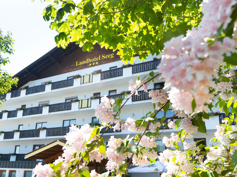 Landhotel Seeg s