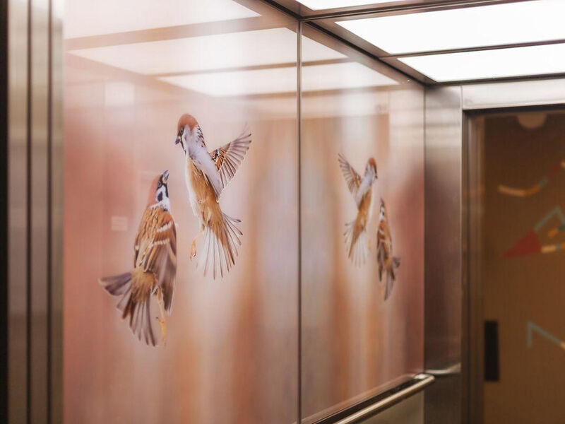 Hotel the niu Sparrow