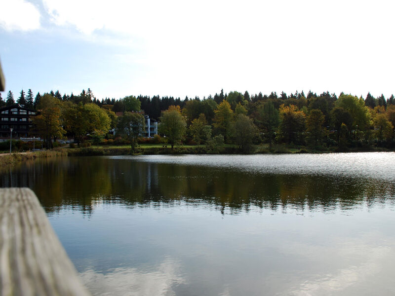 Hotel njord