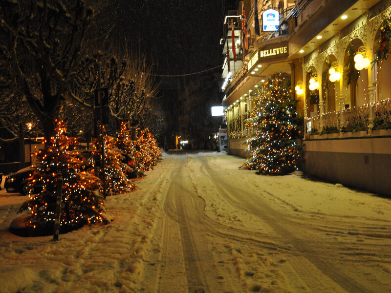 Rheinhotel Bellevue s