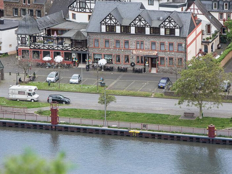 Hotel Ellenzer Goldbäumchen
