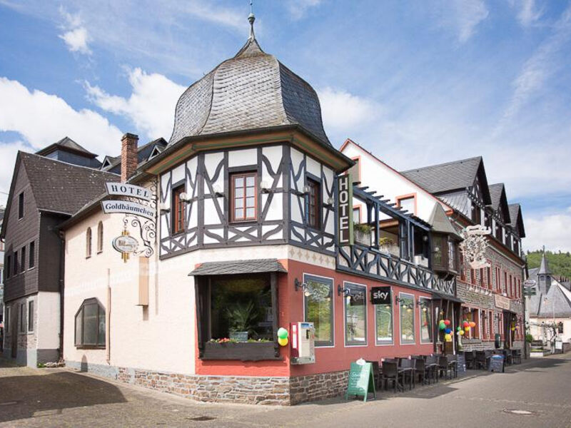 Hotel Ellenzer Goldbäumchen