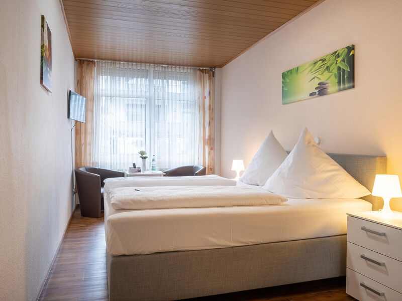 Hotel Ellenzer Goldbäumchen