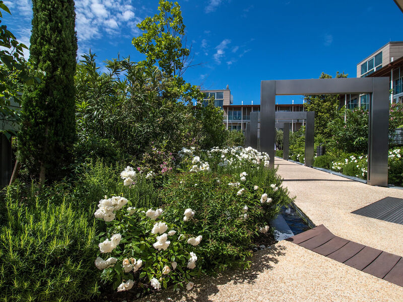 Hotel Spa Suite & Terme Aqualux