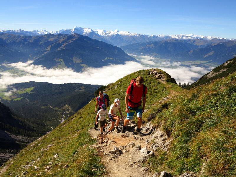 Alpenparks Hotel & Apartment Maria Alm
