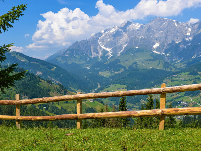 Alpenparks Hotel & Apartment Maria Alm
