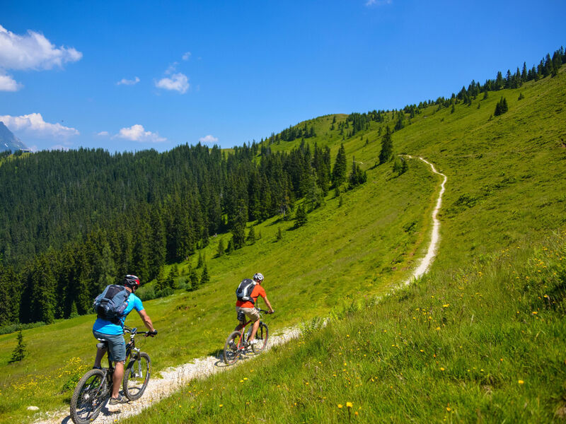 Alpenparks Hotel & Apartment Maria Alm