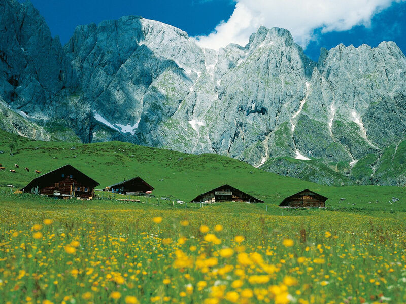 Alpenparks Hotel & Apartment Maria Alm