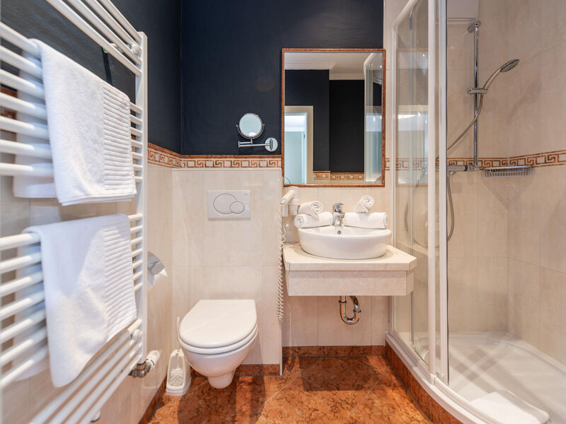 Alpenhotel Erzherzog Johann