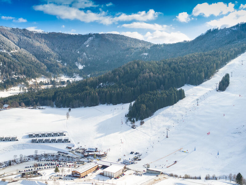 Naturparkchalets Lambrecht