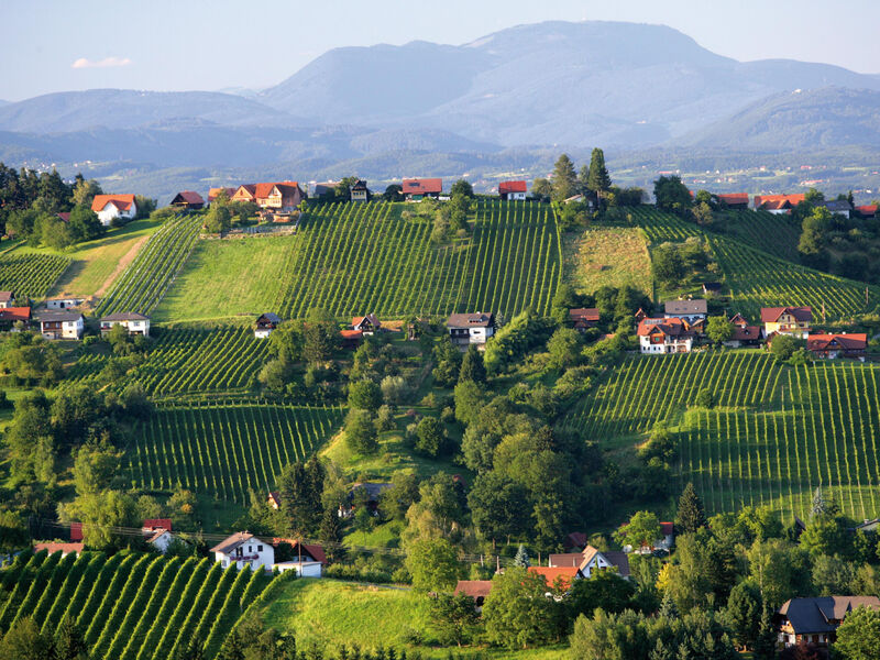Hotel Stainzerhof