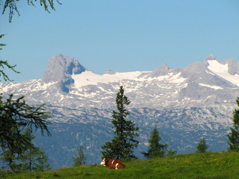 Berghof Tauplitzalm