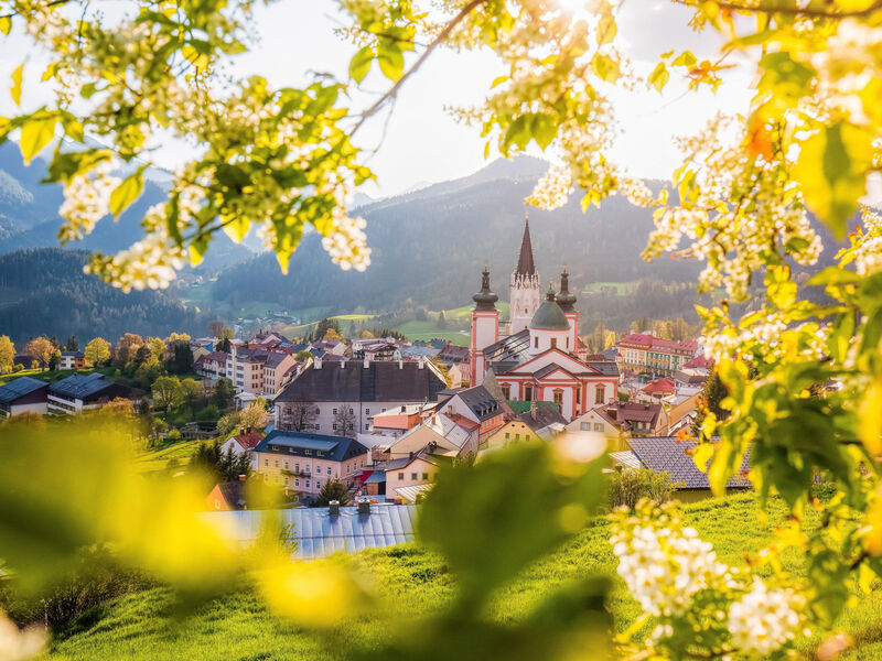 Aktivhotel Weißer Hirsch