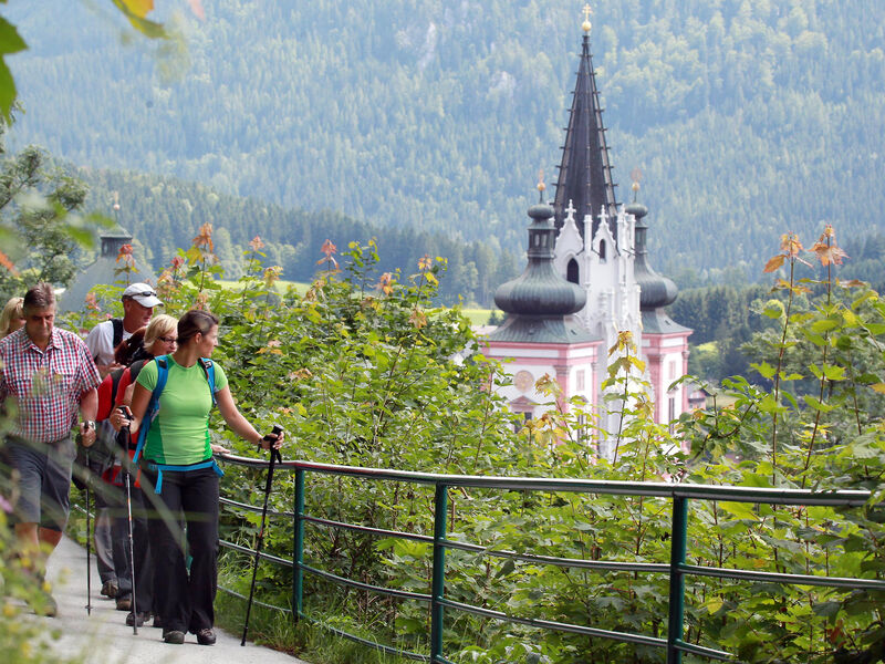 Aktivhotel Weißer Hirsch