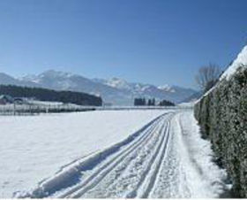 Landhotel Sonnhof
