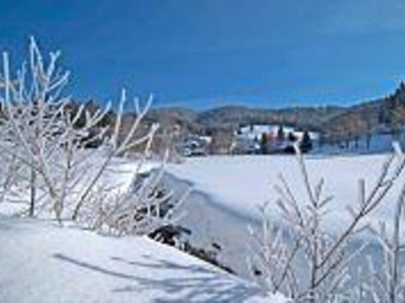Chalet Sonnenhang
