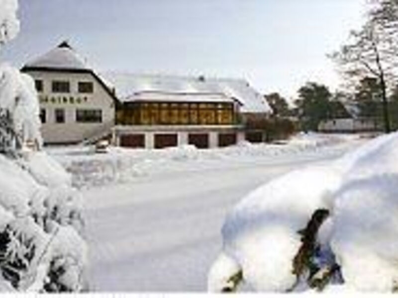 Hotel Waldhof