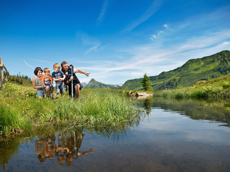 Alpenhotel Mittagspitze  sup.