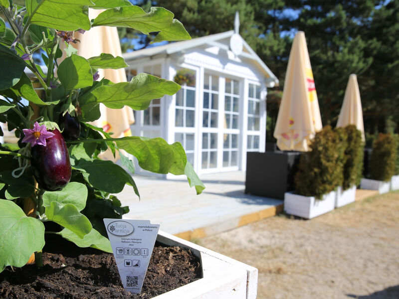 Hotel Havet Resort & Spa