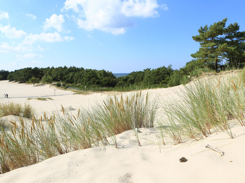 Hotel Havet Resort & Spa