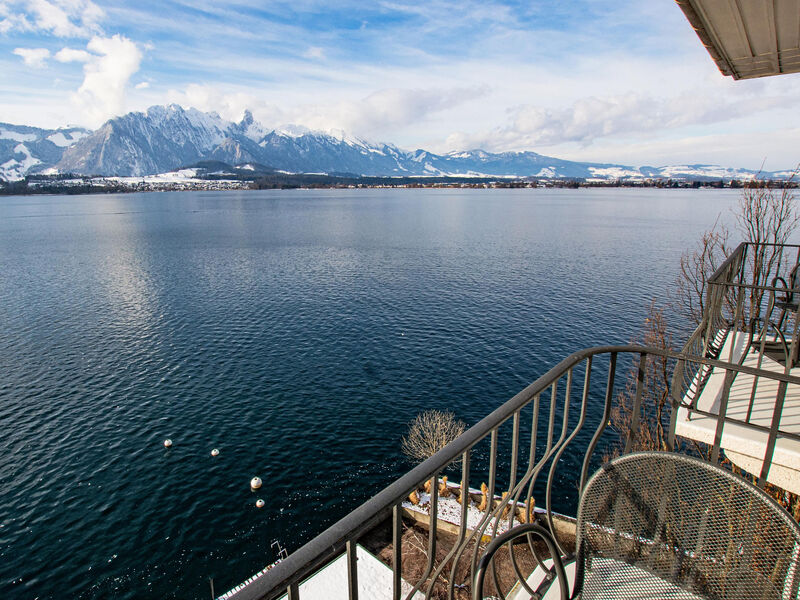 Hotel Restaurant Bellevue au Lac  sup.