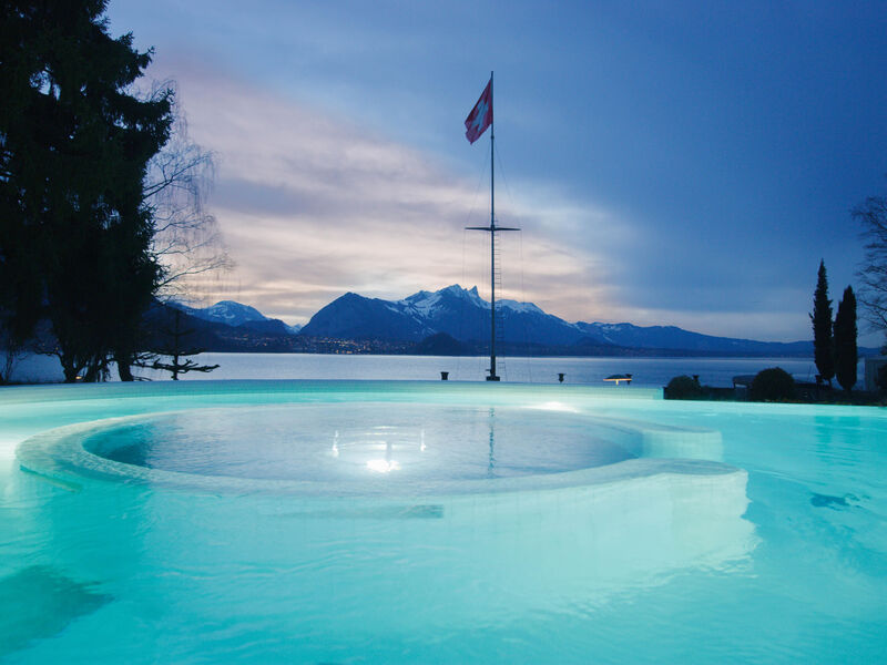 Hotel Restaurant Bellevue au Lac  sup.