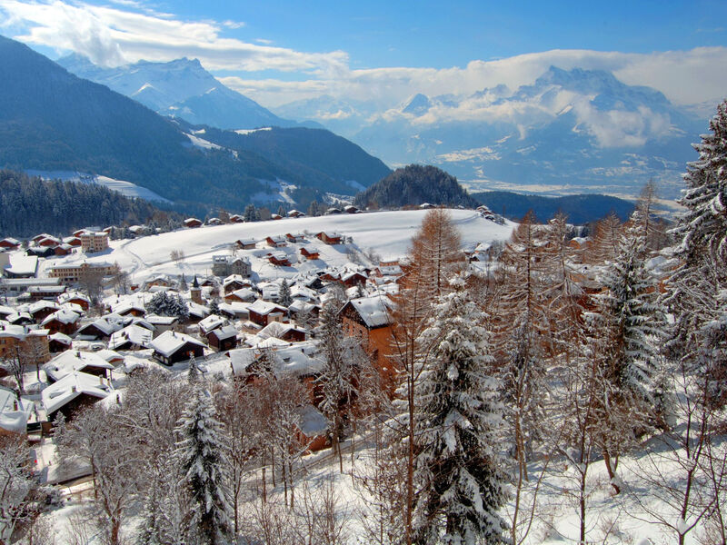Alpine Classic Hotel, inkl. Skipass