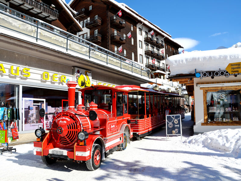 Hotel Marmotte