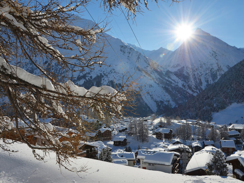 Hotel Marmotte