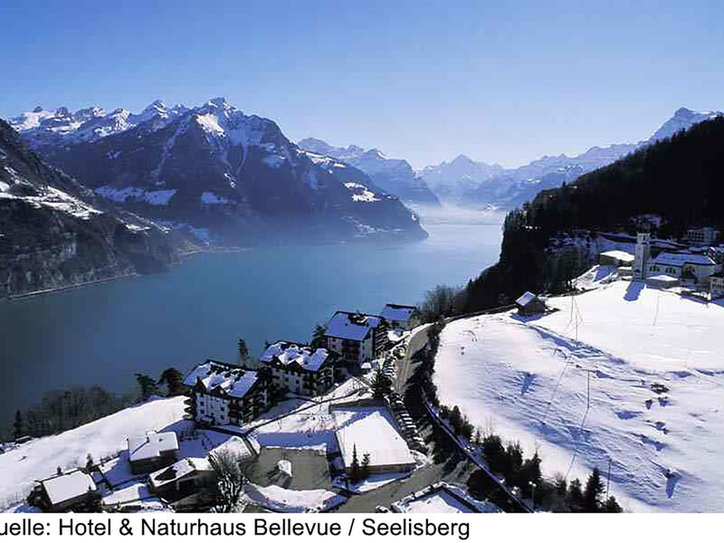 Hotel & Naturhaus Bellevue
