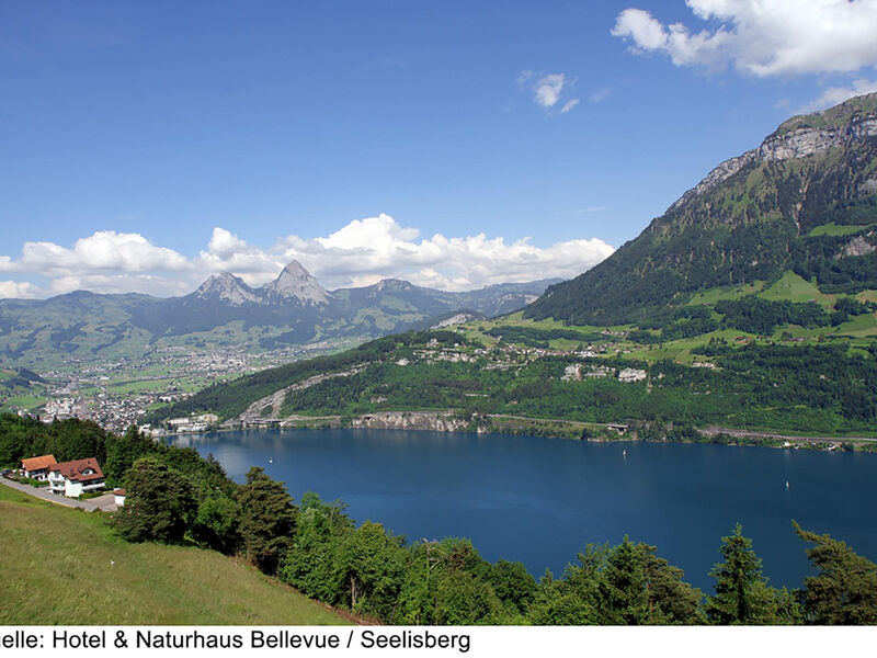 Hotel & Naturhaus Bellevue
