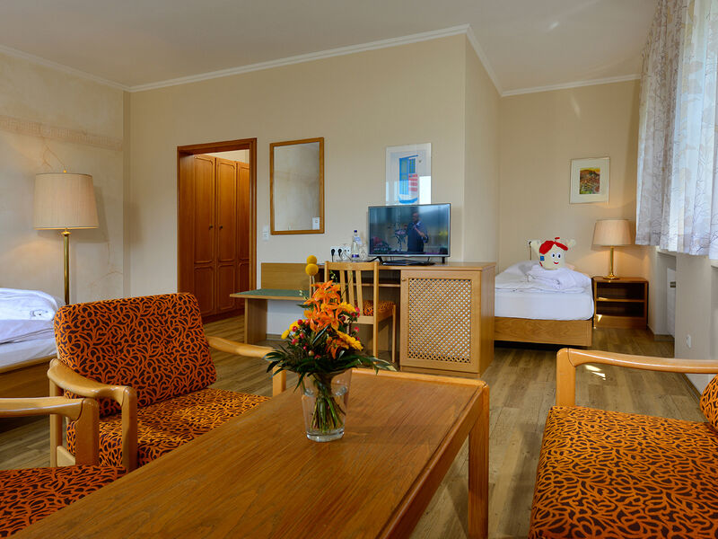 Michel & Friends Hotel Waldkirchen  sup.
