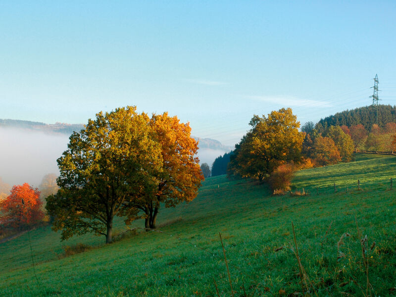 Landgasthof Haus zur Sonne