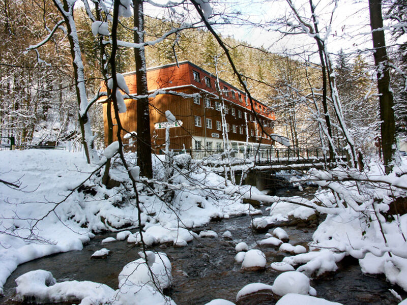 Waldhotel Am Ilsestein