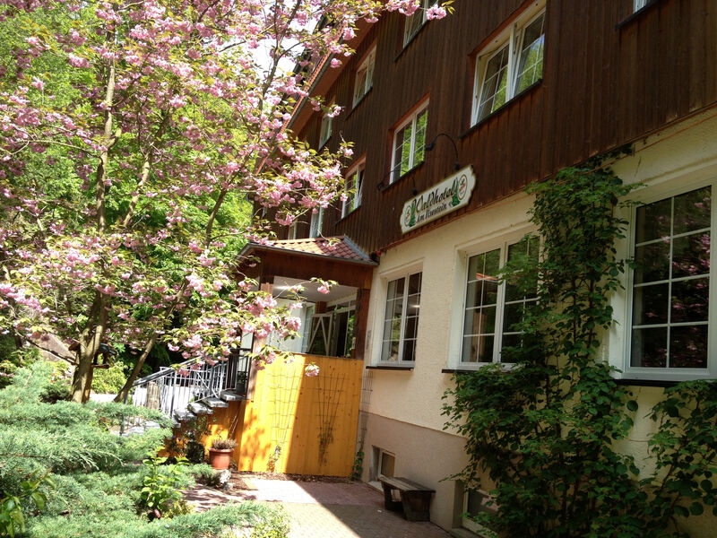 Waldhotel Am Ilsestein