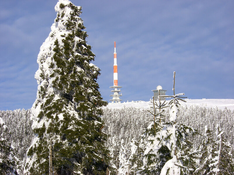 Waldhotel Am Ilsestein