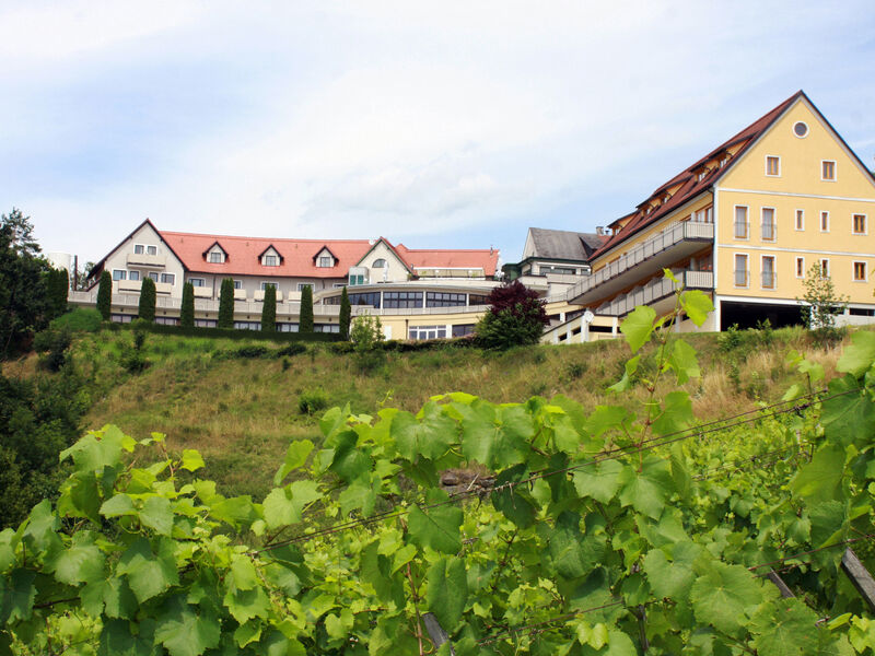 Hotel Hasenwirt