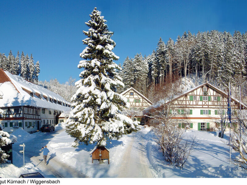 AllgäuHotel Hofgut Kürnach