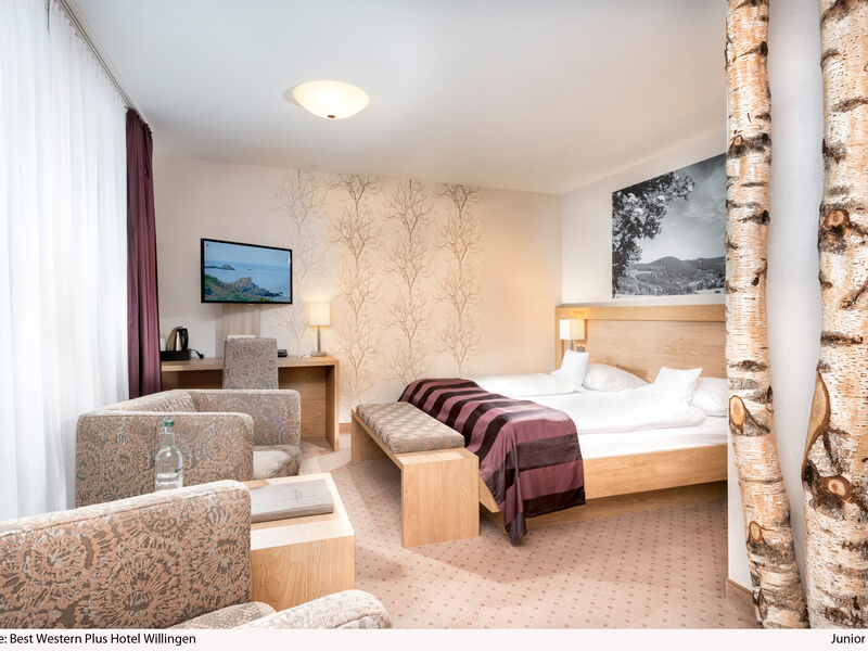BEST WESTERN PLUS Hotel Willingen