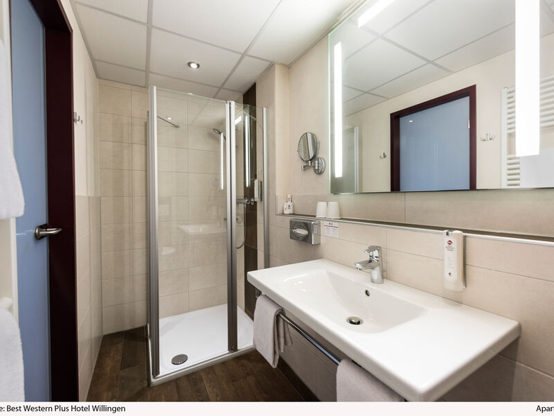 BEST WESTERN PLUS Hotel Willingen