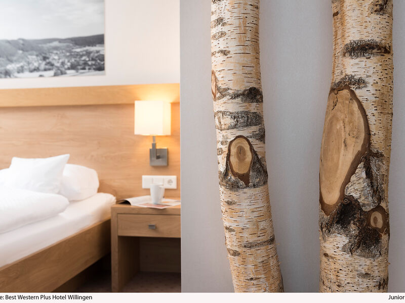 BEST WESTERN PLUS Hotel Willingen