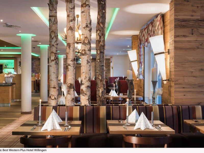 BEST WESTERN PLUS Hotel Willingen