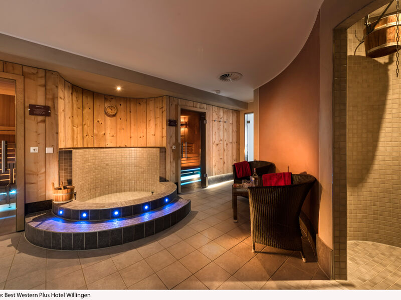 BEST WESTERN PLUS Hotel Willingen