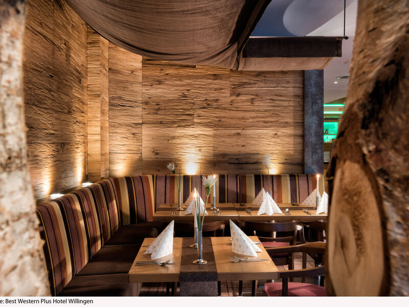 BEST WESTERN PLUS Hotel Willingen