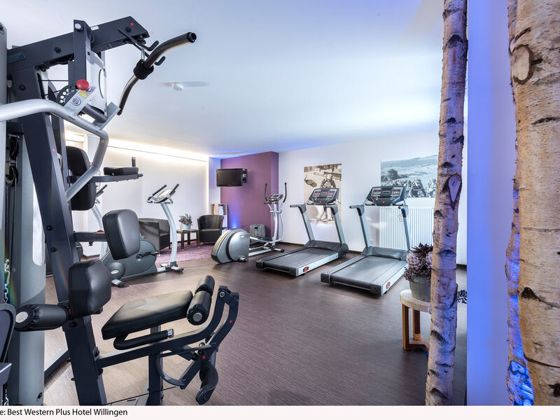 BEST WESTERN PLUS Hotel Willingen