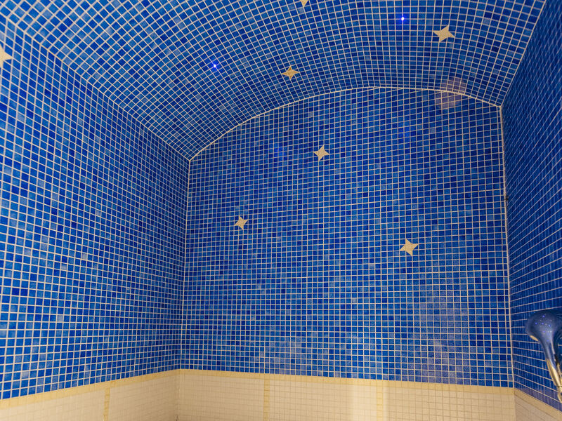 Best Western Plus Au Cheval Blanc Mulhouse Nord  s